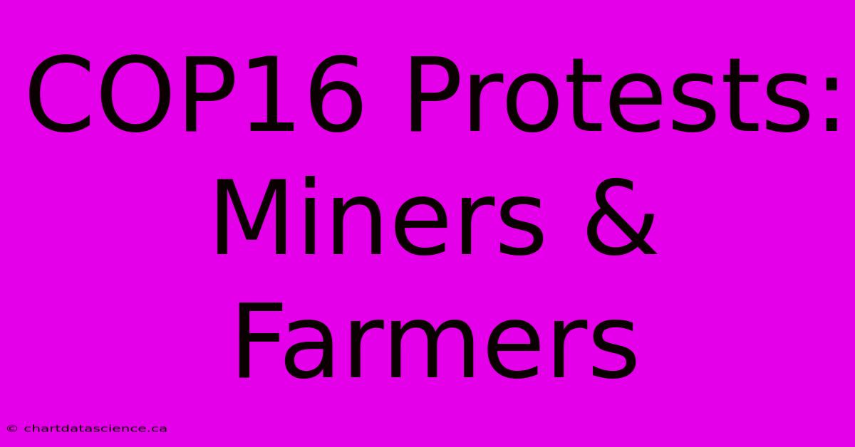 COP16 Protests: Miners & Farmers