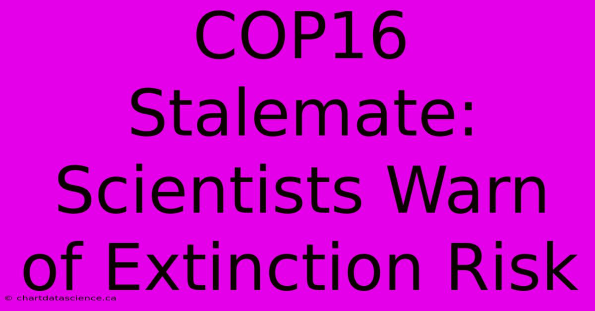 COP16 Stalemate: Scientists Warn Of Extinction Risk