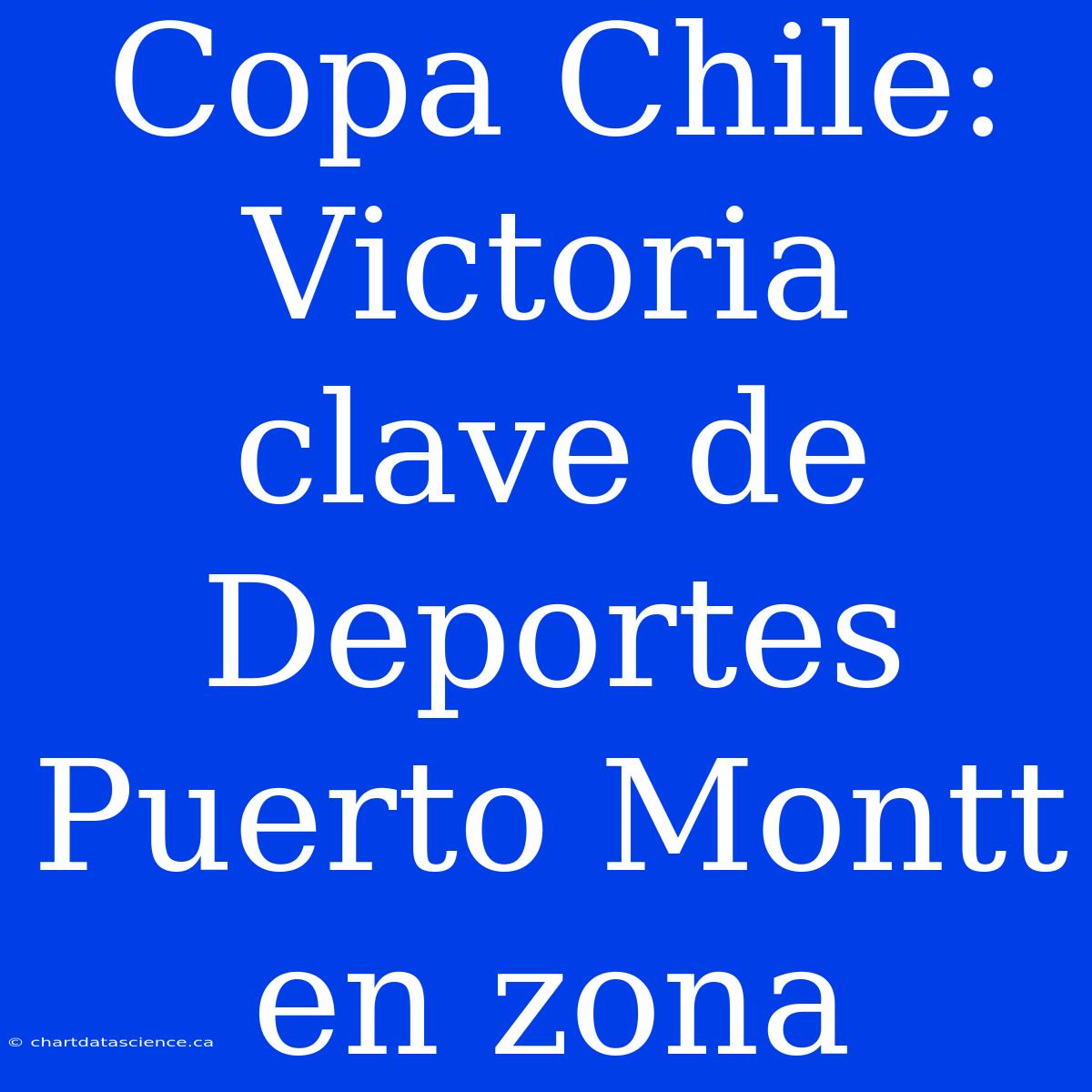 Copa Chile: Victoria Clave De Deportes Puerto Montt En Zona