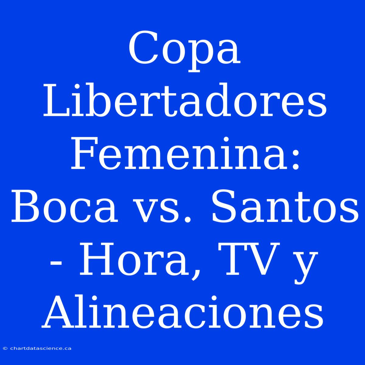 Copa Libertadores Femenina: Boca Vs Santos - Hora, TV Y Alineaciones