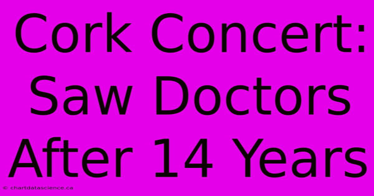 Cork Concert: Saw Doctors After 14 Years 