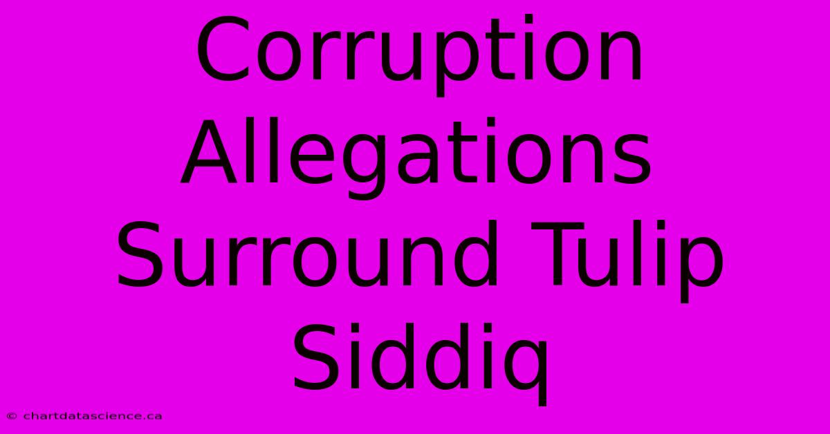 Corruption Allegations Surround Tulip Siddiq