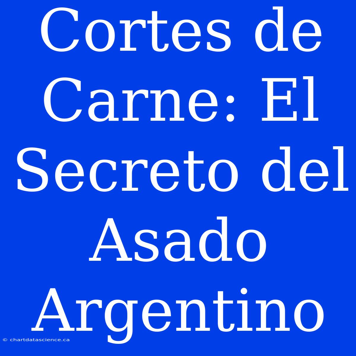 Cortes De Carne: El Secreto Del Asado Argentino