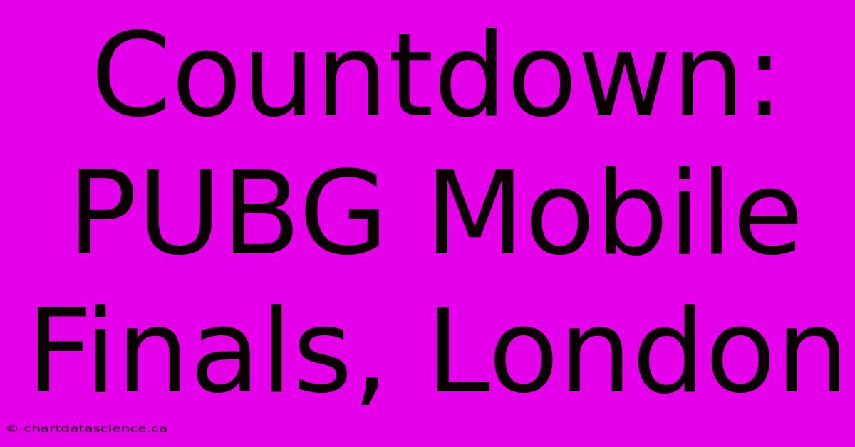 Countdown: PUBG Mobile Finals, London