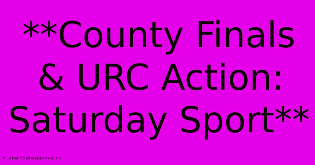 **County Finals & URC Action: Saturday Sport** 