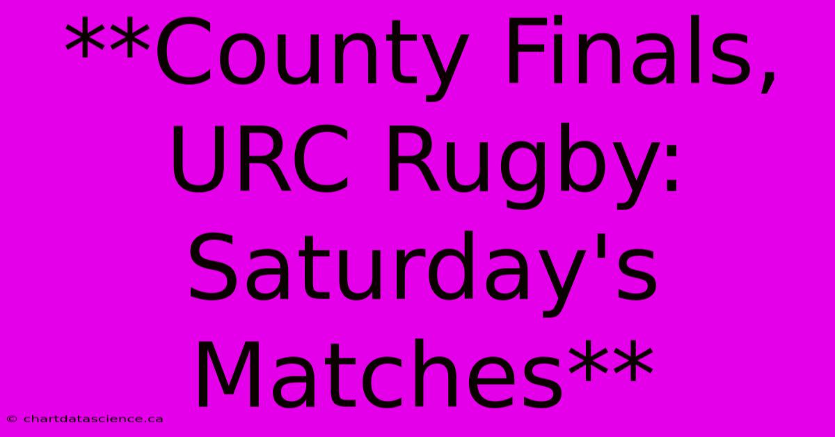 **County Finals, URC Rugby: Saturday's Matches**