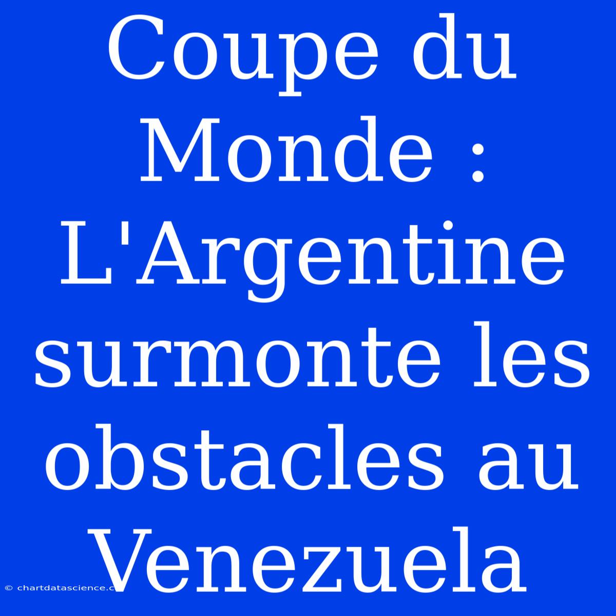 Coupe Du Monde : L'Argentine Surmonte Les Obstacles Au Venezuela