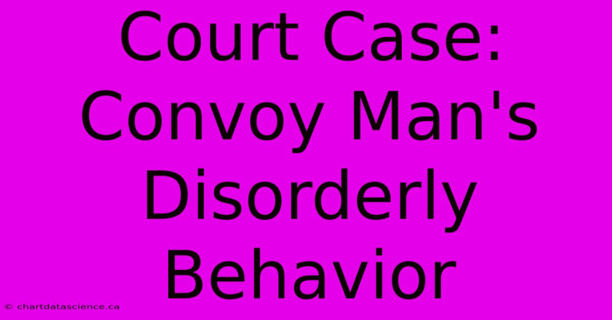 Court Case: Convoy Man's Disorderly Behavior