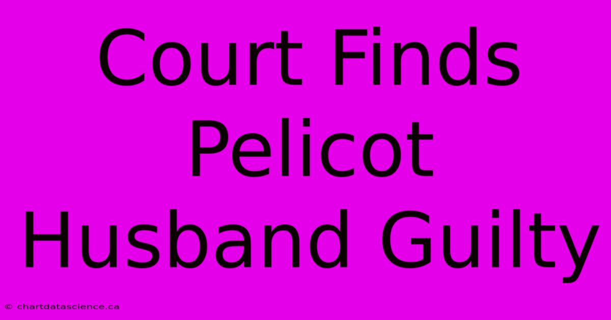 Court Finds Pelicot Husband Guilty