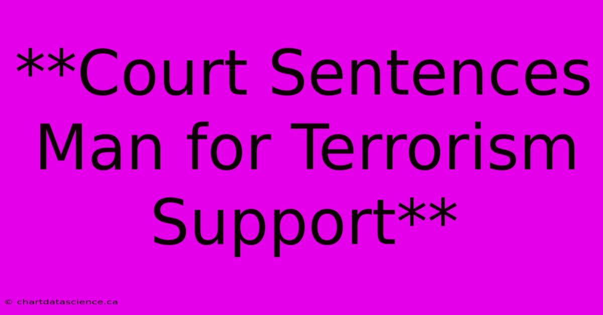 **Court Sentences Man For Terrorism Support**