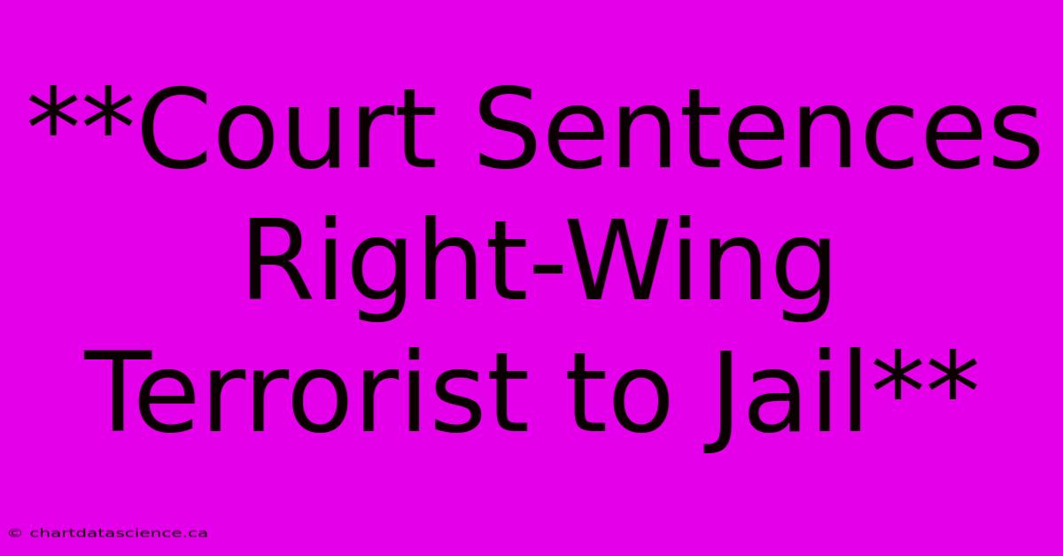 **Court Sentences Right-Wing Terrorist To Jail** 