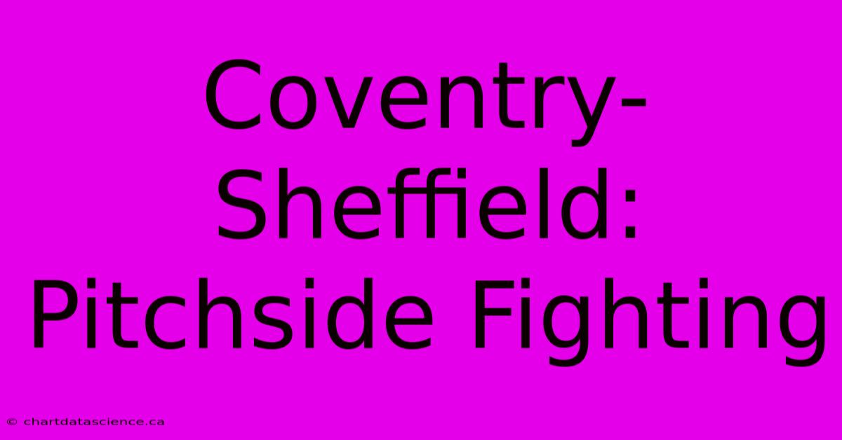 Coventry-Sheffield: Pitchside Fighting