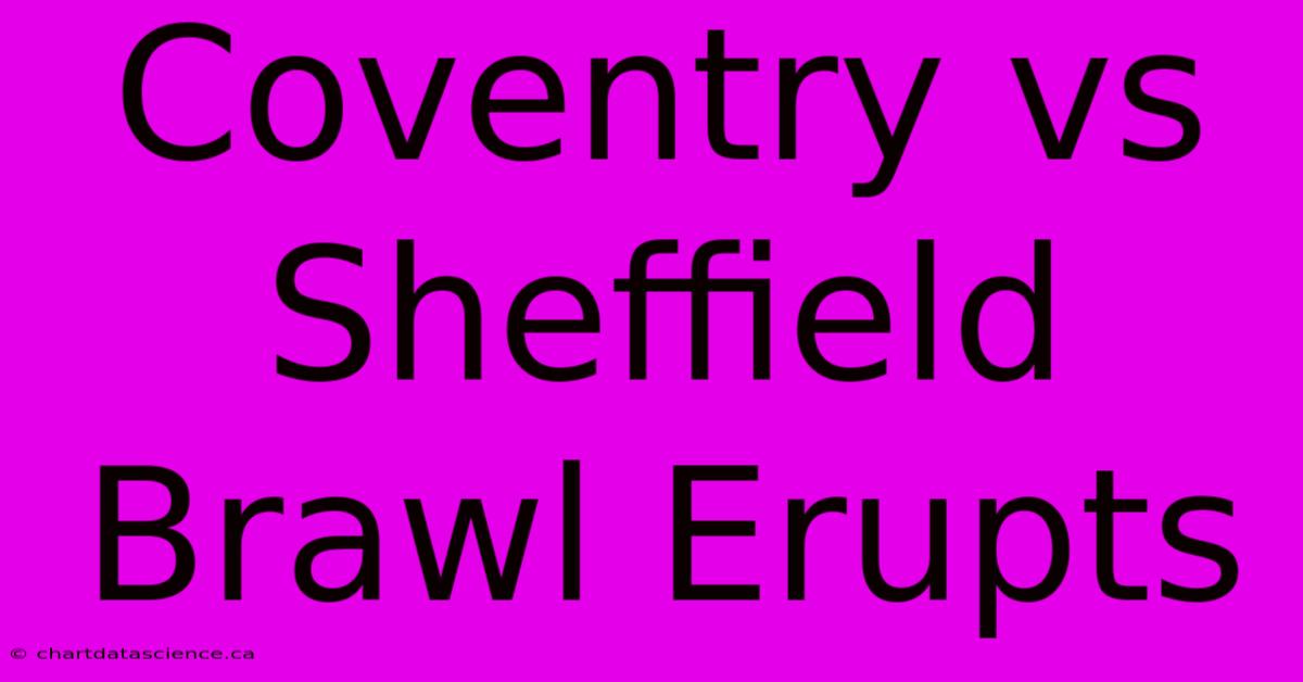 Coventry Vs Sheffield Brawl Erupts