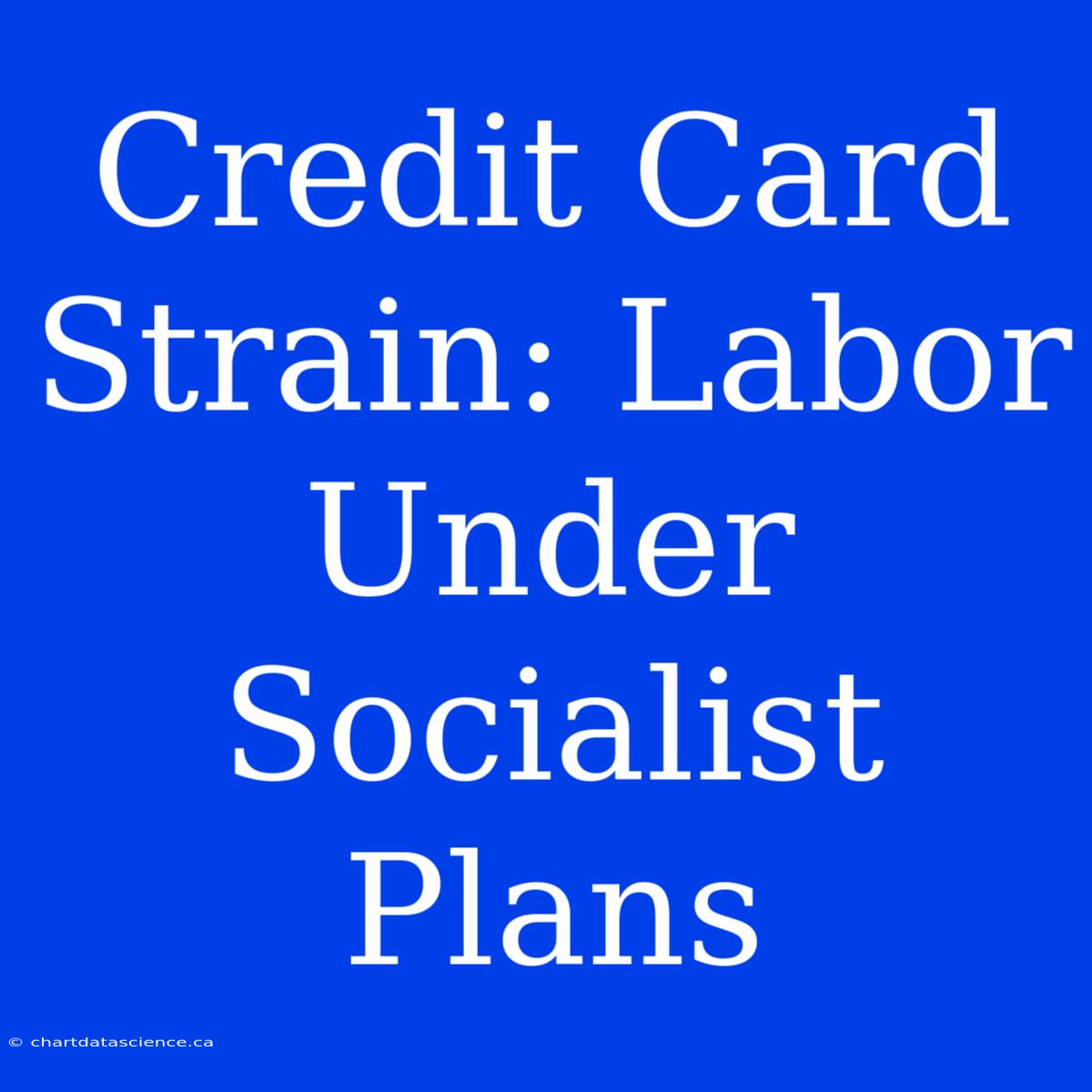 Credit Card Strain: Labor Under Socialist Plans