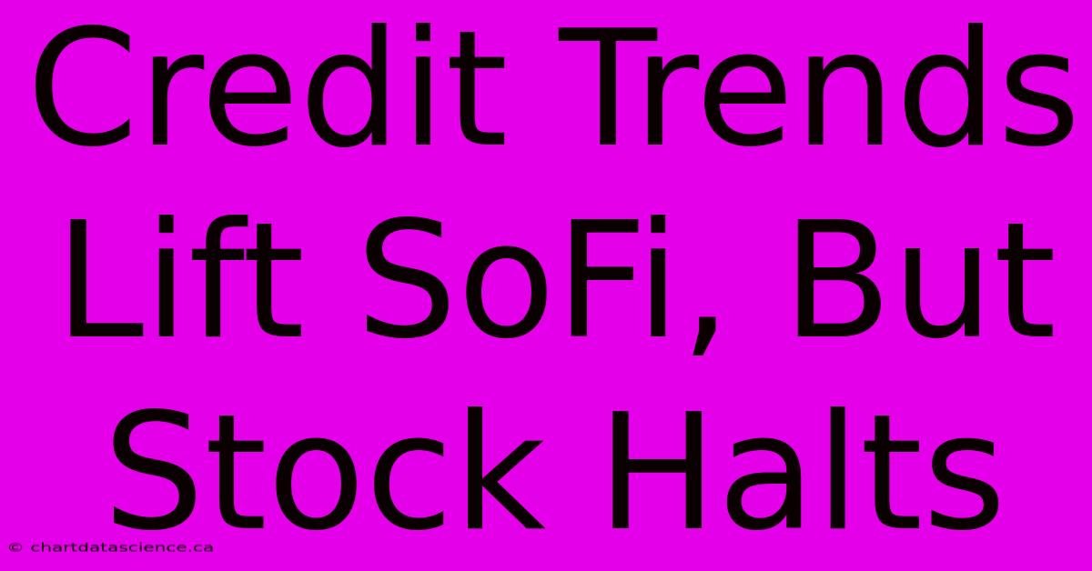 Credit Trends Lift SoFi, But Stock Halts