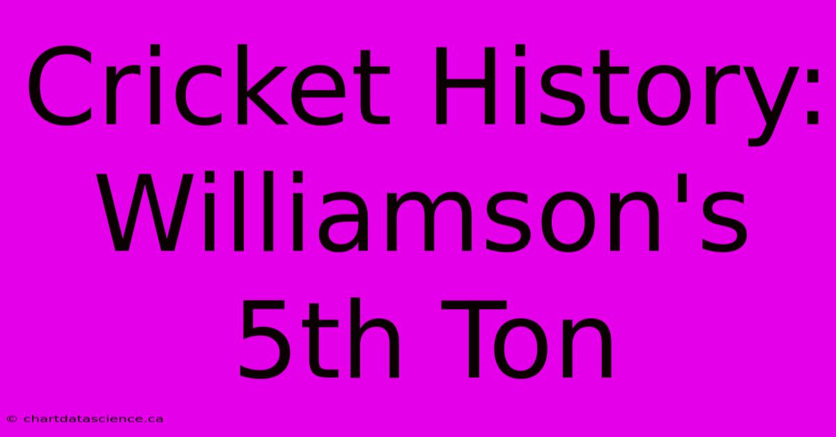 Cricket History: Williamson's 5th Ton