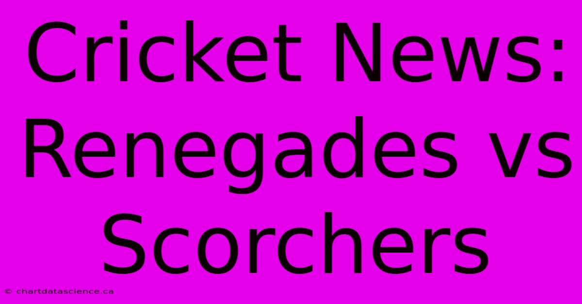 Cricket News: Renegades Vs Scorchers