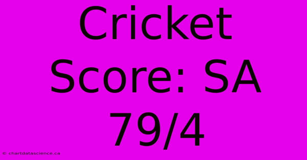 Cricket Score: SA 79/4