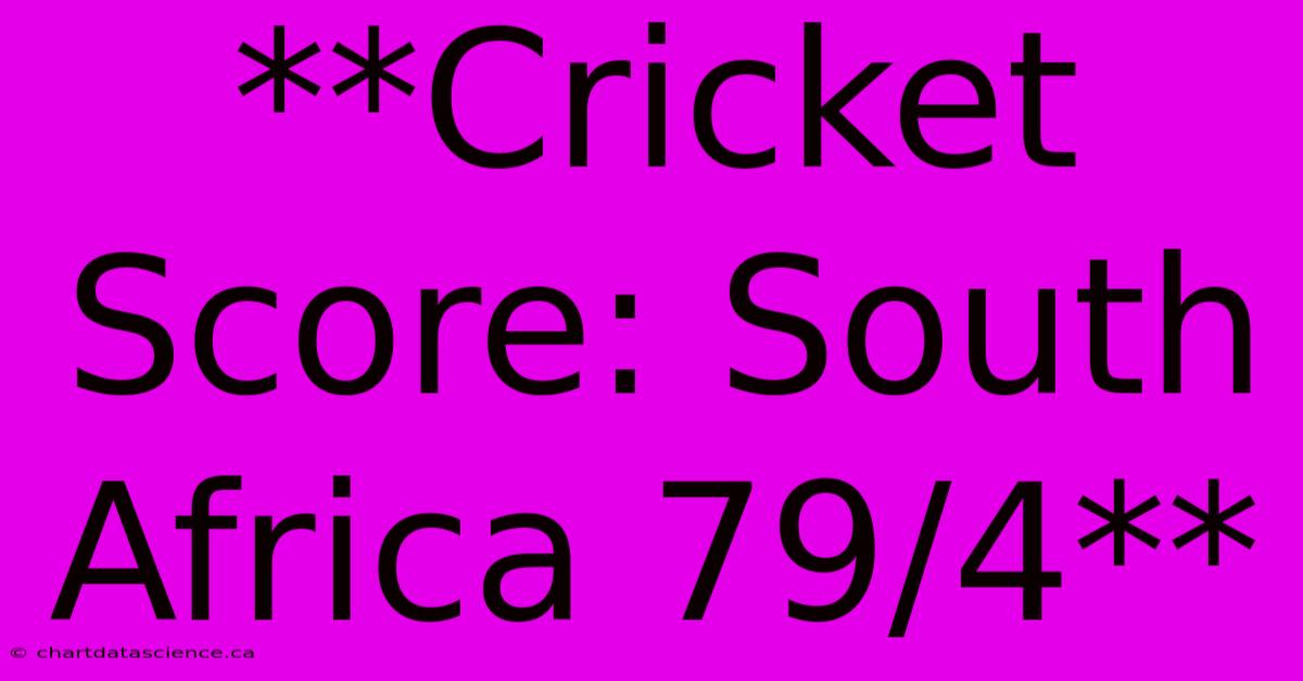 **Cricket Score: South Africa 79/4**