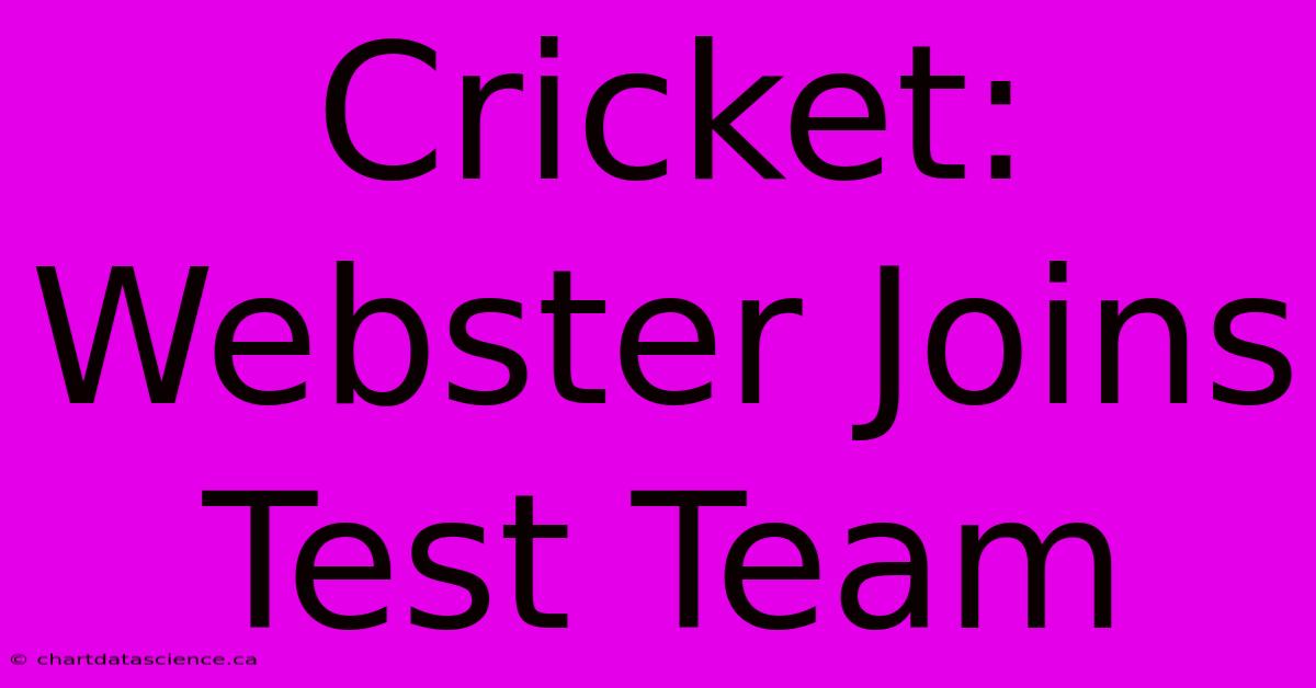 Cricket: Webster Joins Test Team