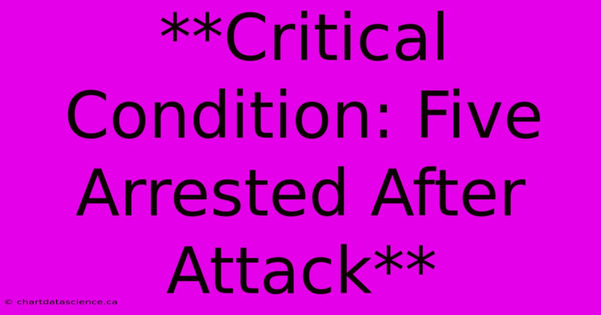 **Critical Condition: Five Arrested After Attack**