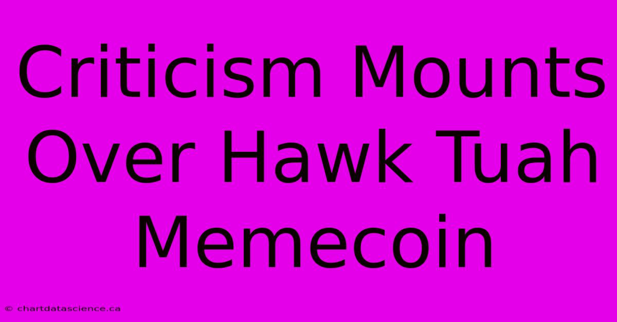 Criticism Mounts Over Hawk Tuah Memecoin