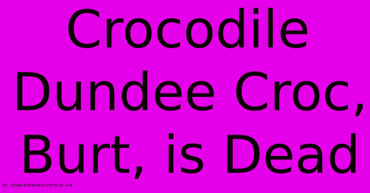 Crocodile Dundee Croc, Burt, Is Dead