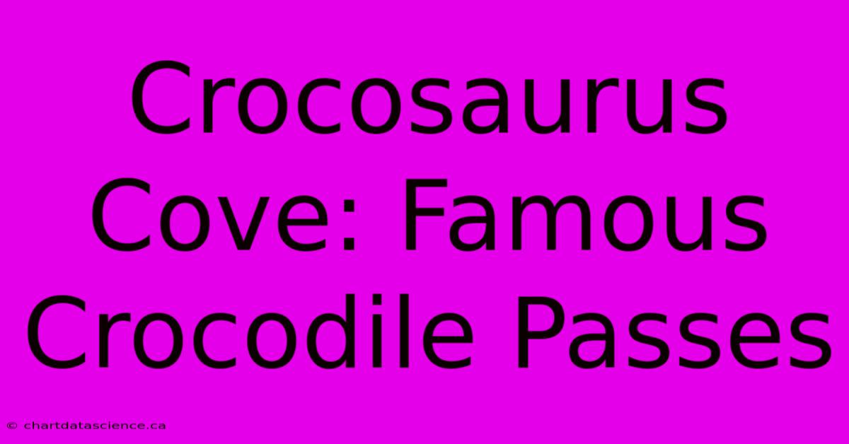 Crocosaurus Cove: Famous Crocodile Passes