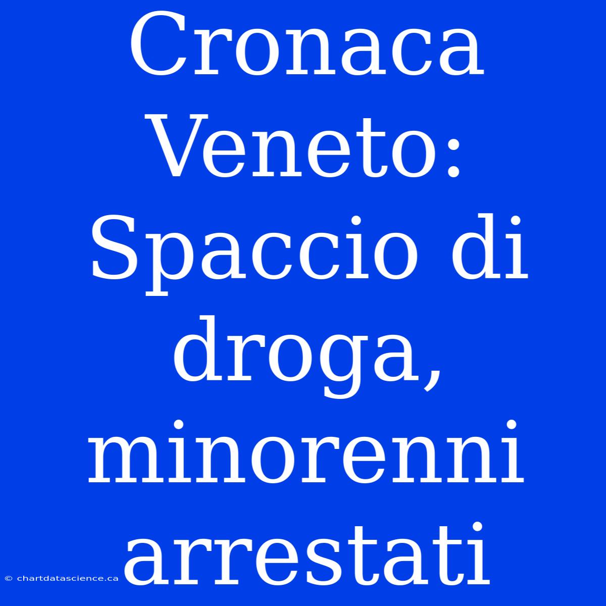 Cronaca Veneto: Spaccio Di Droga, Minorenni Arrestati