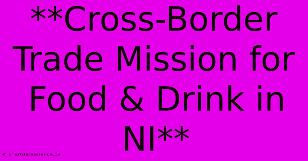 **Cross-Border Trade Mission For Food & Drink In NI** 