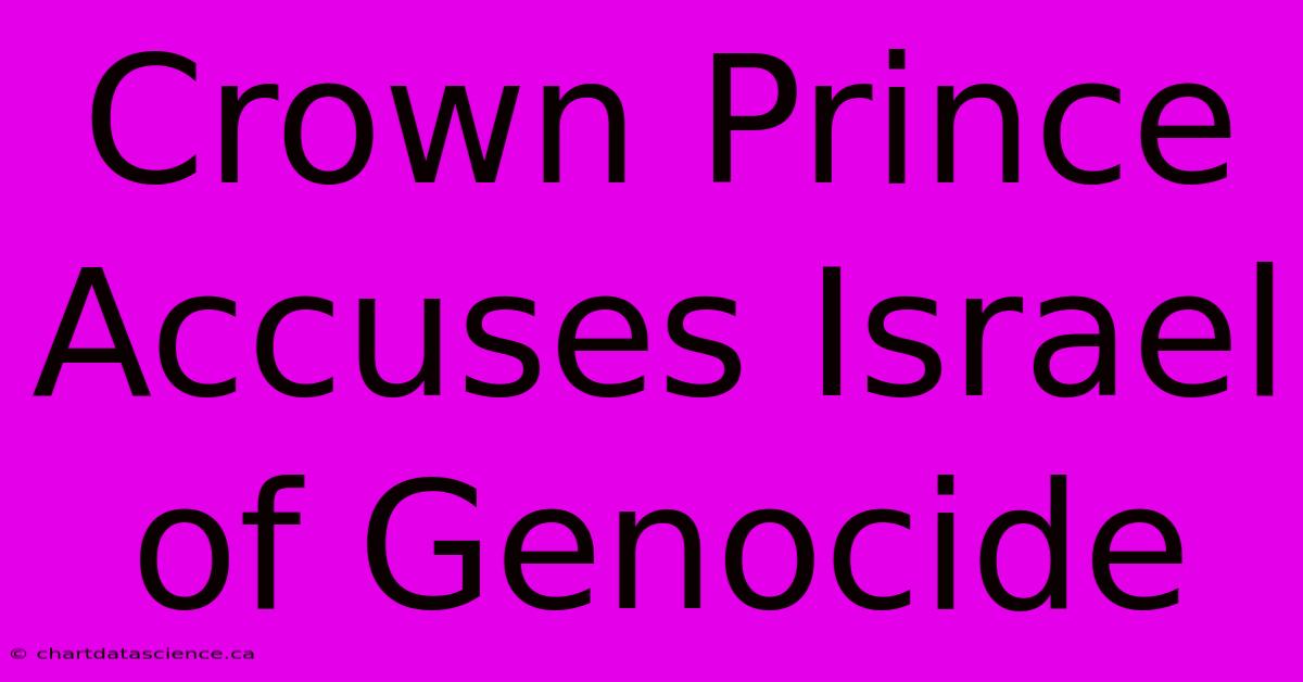 Crown Prince Accuses Israel Of Genocide