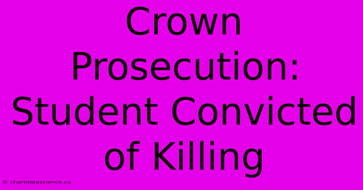 Crown Prosecution: Student Convicted Of Killing 