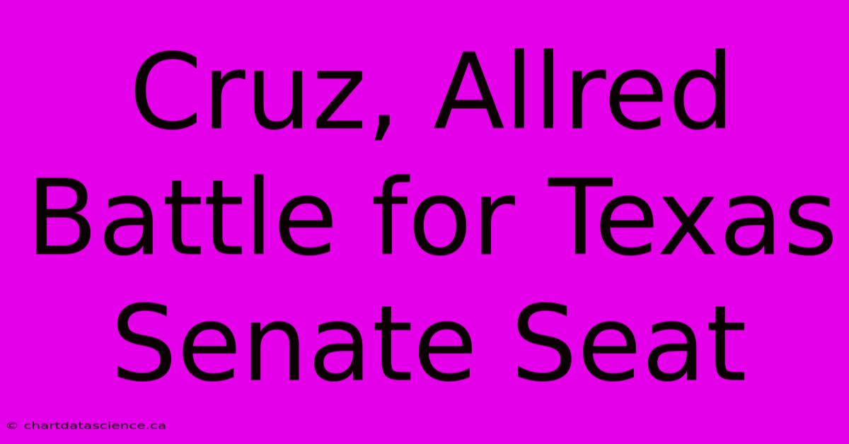 Cruz, Allred Battle For Texas Senate Seat