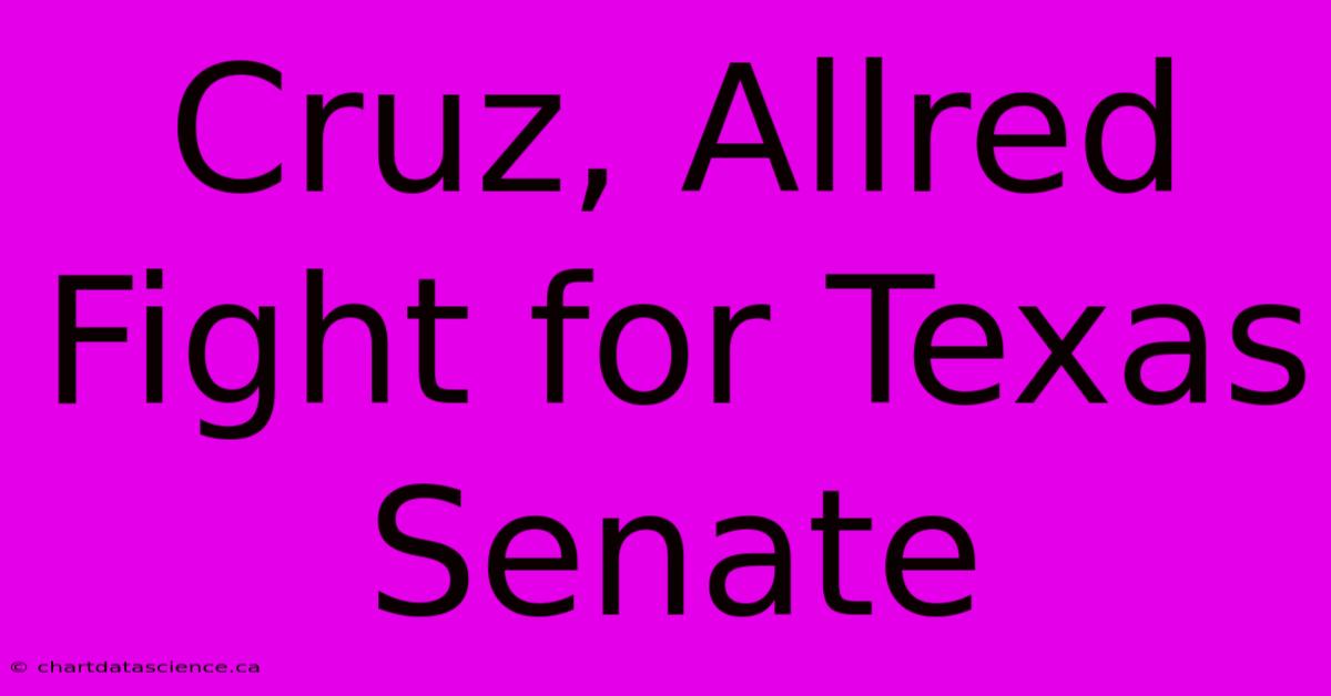 Cruz, Allred Fight For Texas Senate 