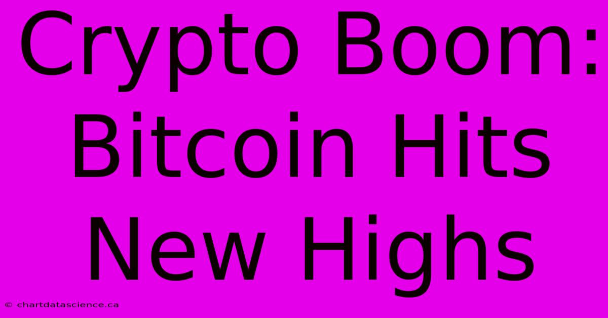 Crypto Boom: Bitcoin Hits New Highs