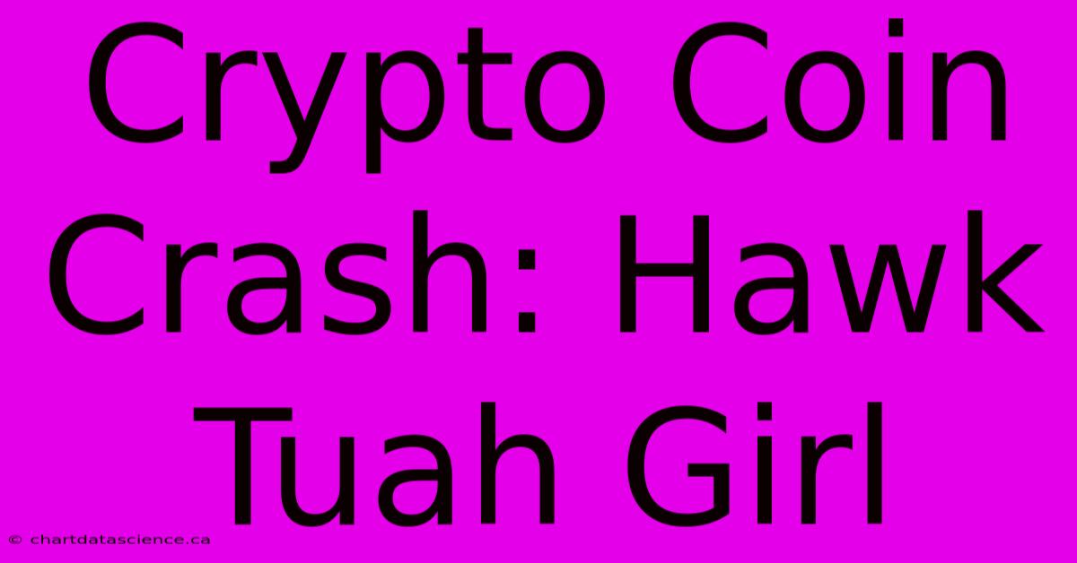 Crypto Coin Crash: Hawk Tuah Girl