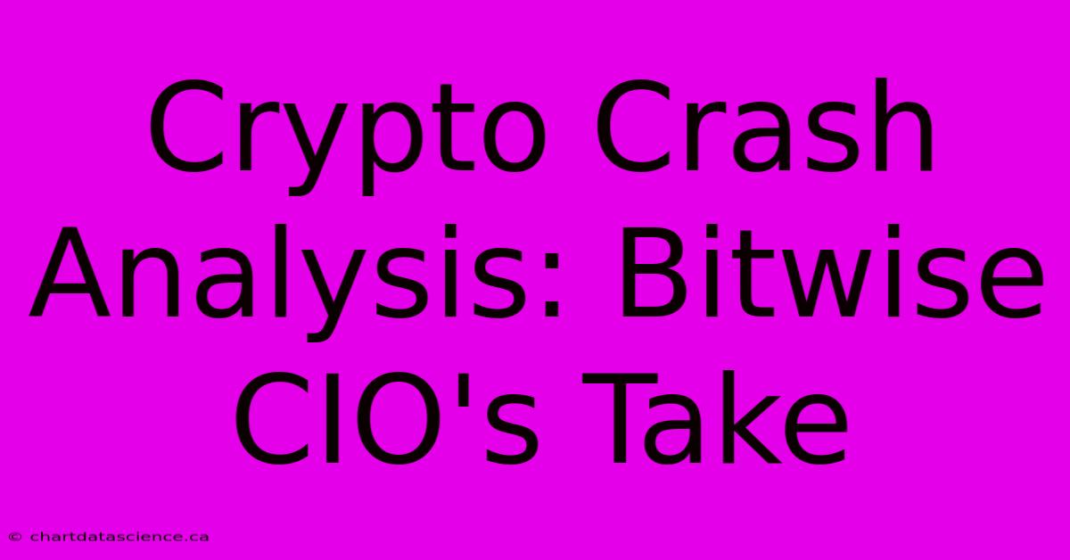 Crypto Crash Analysis: Bitwise CIO's Take