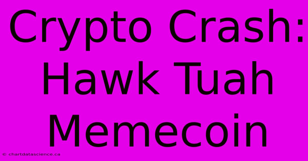 Crypto Crash: Hawk Tuah Memecoin