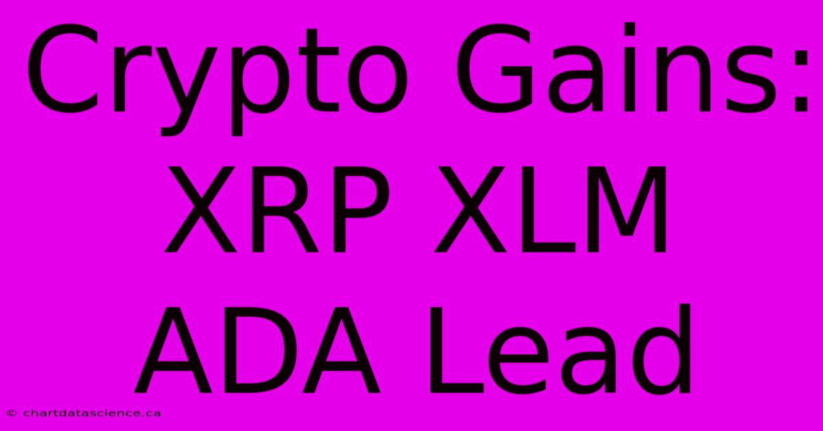 Crypto Gains: XRP XLM ADA Lead