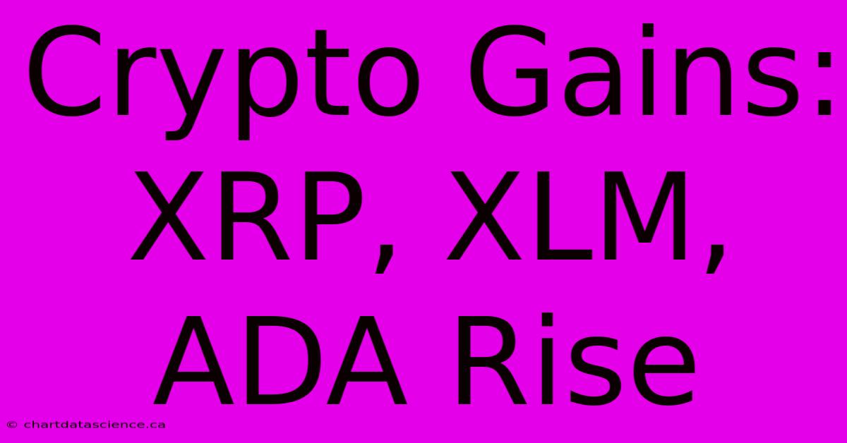 Crypto Gains: XRP, XLM, ADA Rise