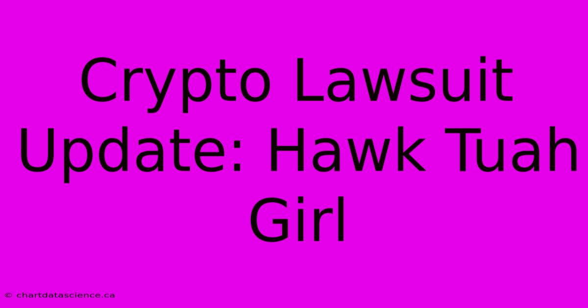 Crypto Lawsuit Update: Hawk Tuah Girl