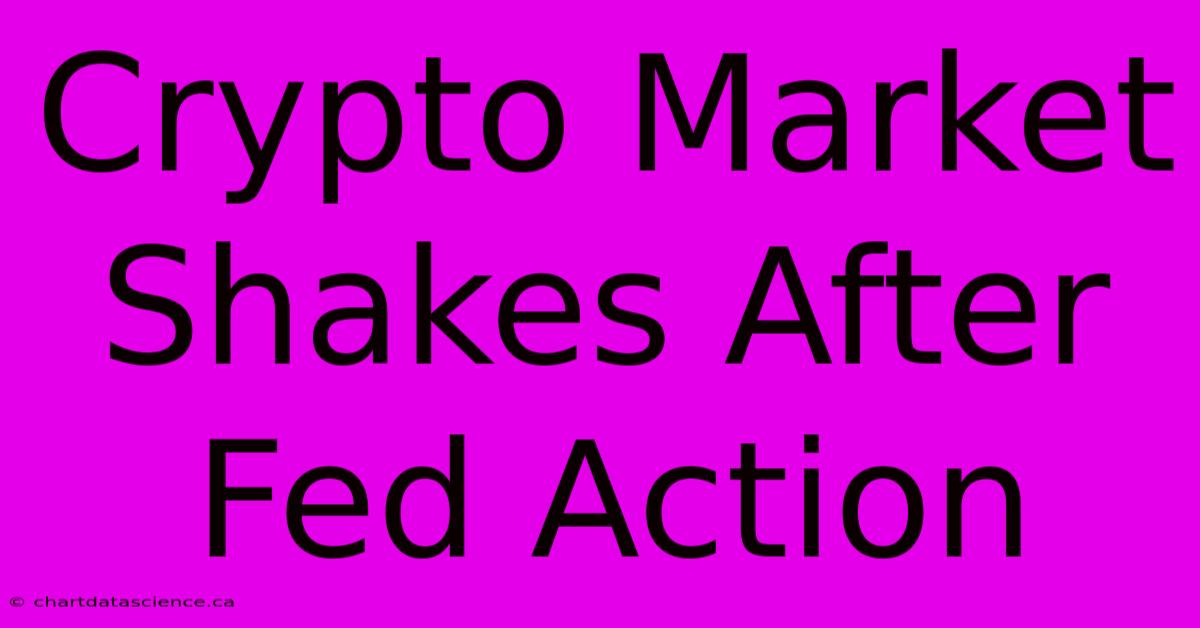 Crypto Market Shakes After Fed Action