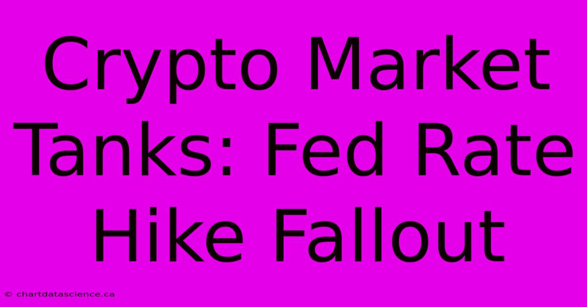 Crypto Market Tanks: Fed Rate Hike Fallout