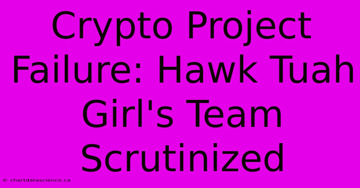 Crypto Project Failure: Hawk Tuah Girl's Team Scrutinized