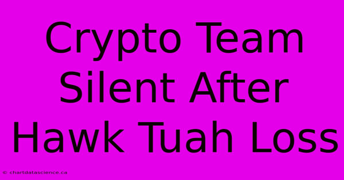 Crypto Team Silent After Hawk Tuah Loss