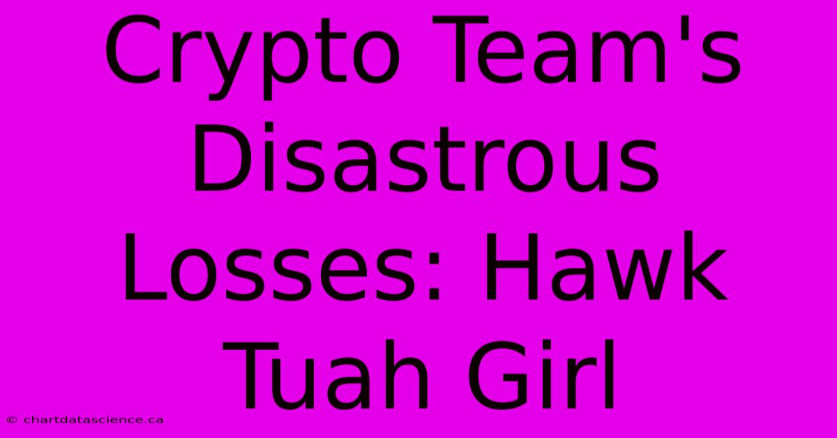 Crypto Team's Disastrous Losses: Hawk Tuah Girl