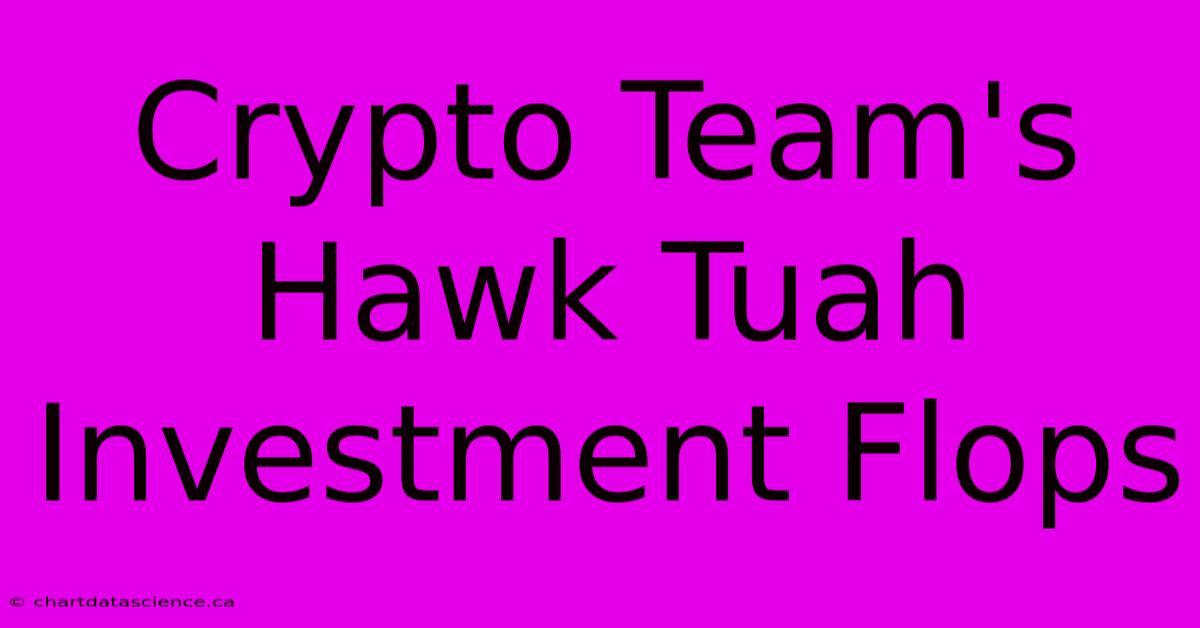 Crypto Team's Hawk Tuah Investment Flops