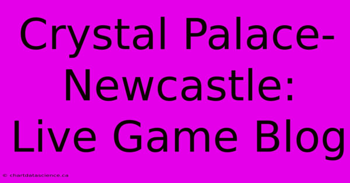 Crystal Palace-Newcastle: Live Game Blog