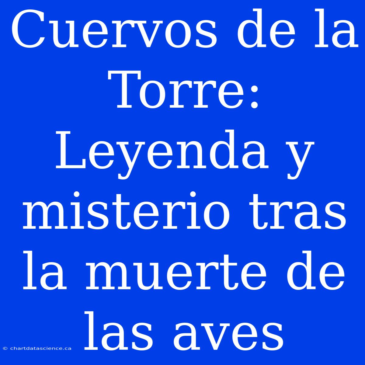 Cuervos De La Torre: Leyenda Y Misterio Tras La Muerte De Las Aves