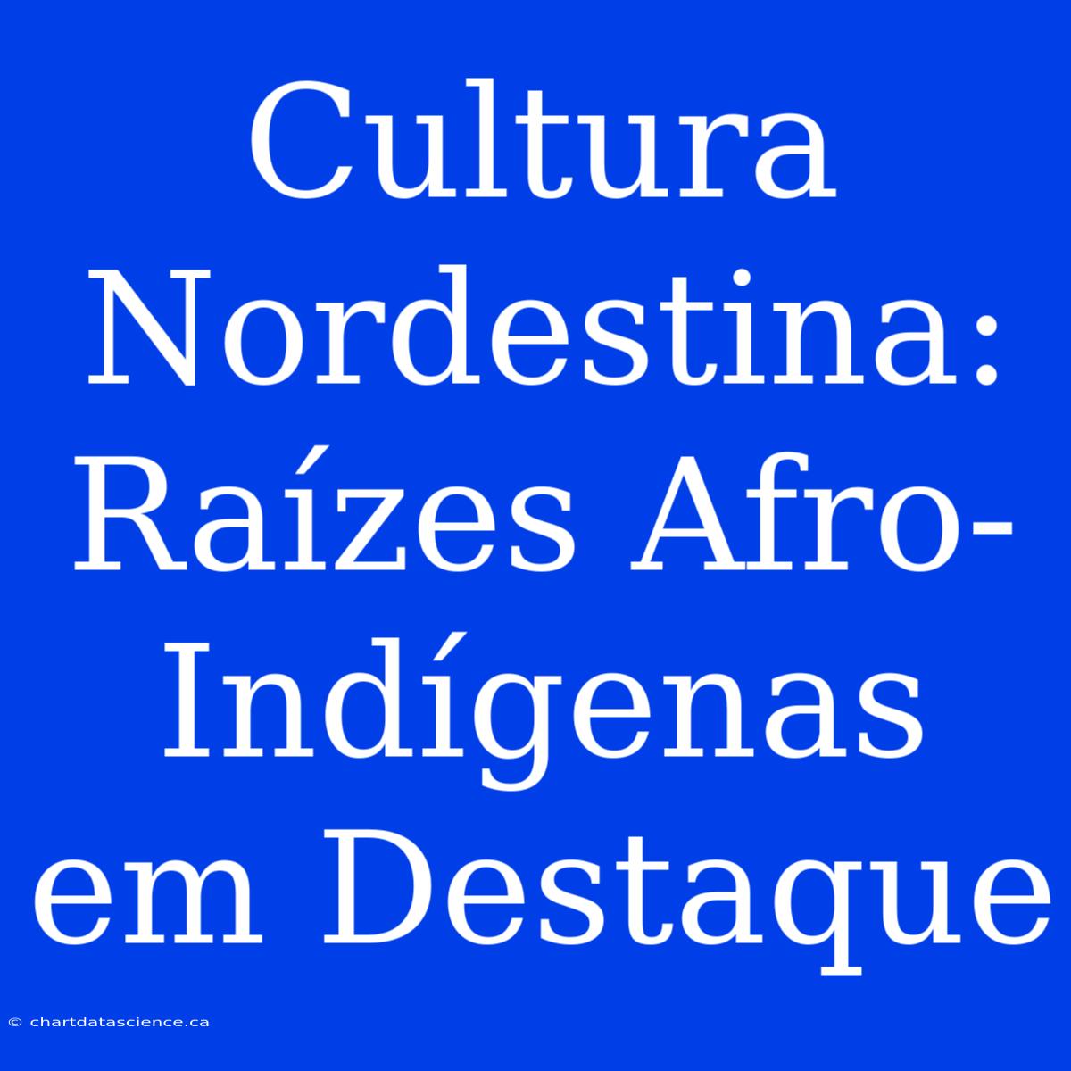 Cultura Nordestina: Raízes Afro-Indígenas Em Destaque